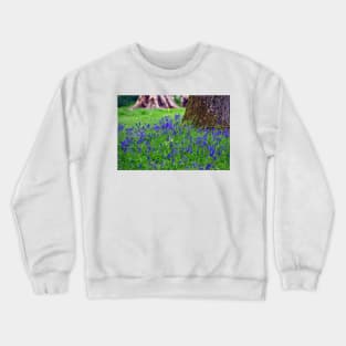 Bluebell Woods Bluebells Basildon Park Reading Berkshire Crewneck Sweatshirt